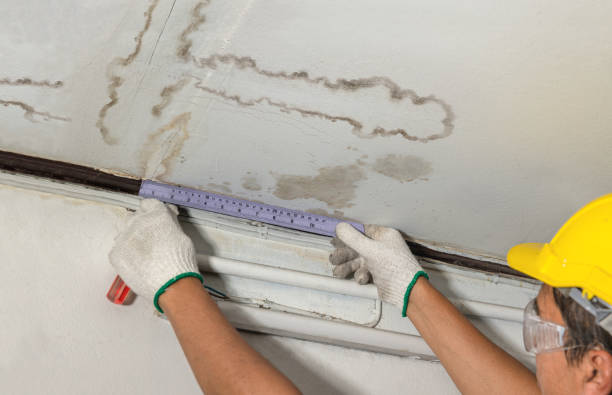 Reliable Basement Water Removal contractor in Harlan, KY by Water Damage Irwin